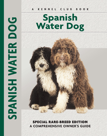 Cristina Desarnaud - Spanish Water Dog