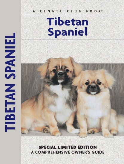 

Tibetan Spaniel