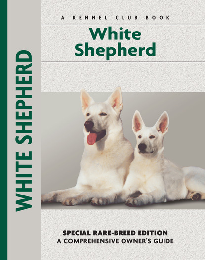 

White Shepherd