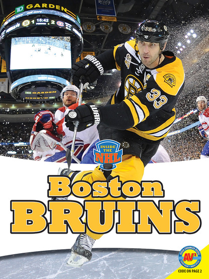 

Boston Bruins