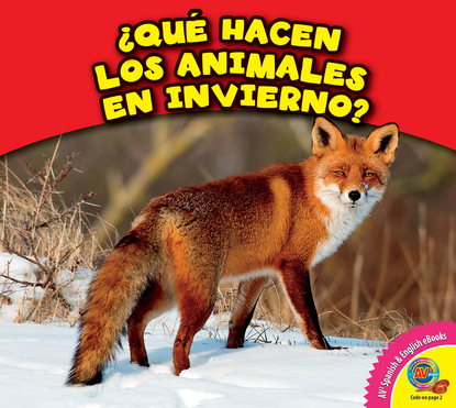 Rebecca Felix - ¿Qué hacen los animales en invierno?