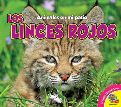 

Los linces rojos