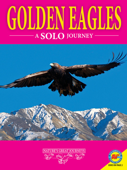 

Golden Eagles: A Solo Journey