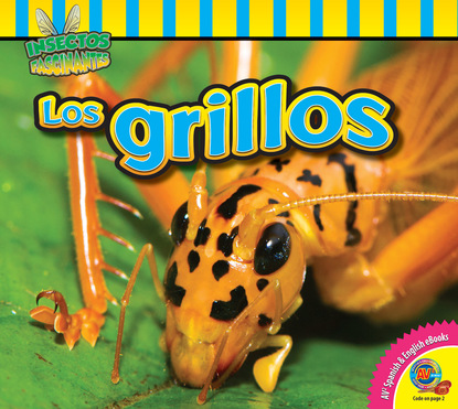 

Los grillos