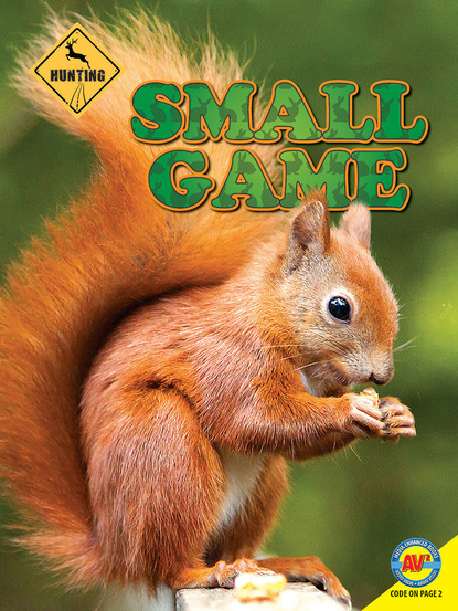 Janet Gurtler - Small Game