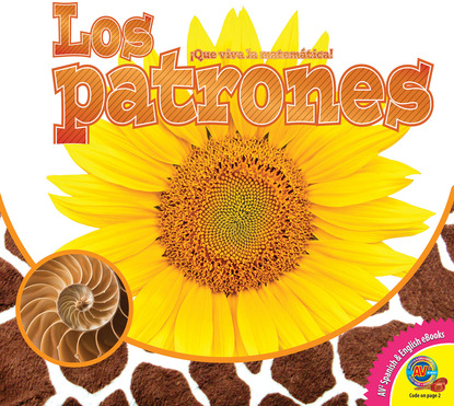 

Los patrones
