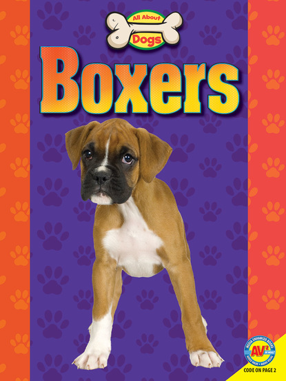 

Boxers