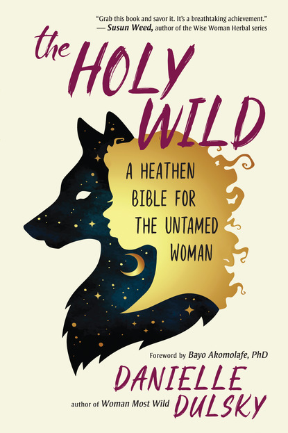 Danielle Dulsky — The Holy Wild