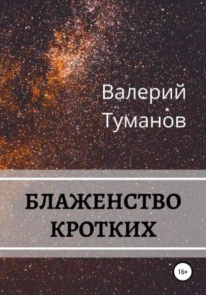 Обложка книги Блаженство кротких, Валерий Петрович Туманов