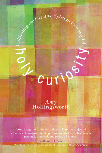 Amy Hollingsworth - Holy Curiosity