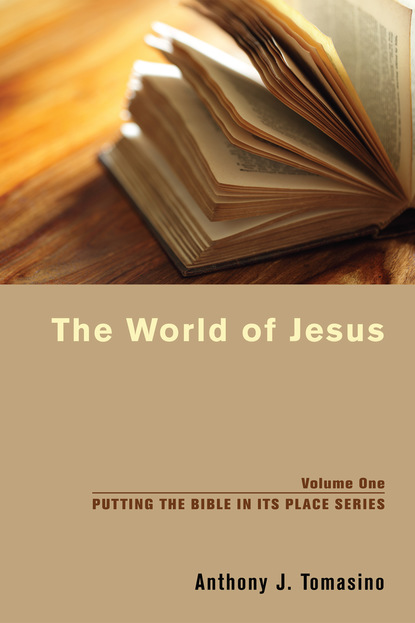 Anthony J. Tomasino - The World of Jesus