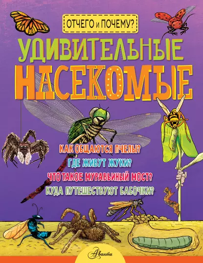 Обложка книги Удивительные насекомые, Джон Фарндон