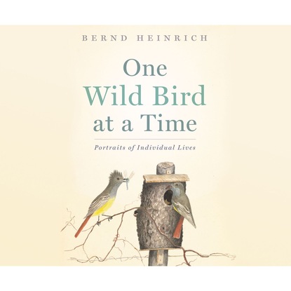 

One Wild Bird at a Time - Portraits of Individual Lives (Unabridged)