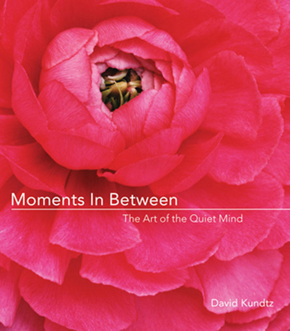 

Moments in Between