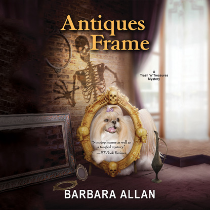 Antiques Frame - Trash 'N' Treasure Mysteries, Book 11 (Unabridged) - Barbara Allan