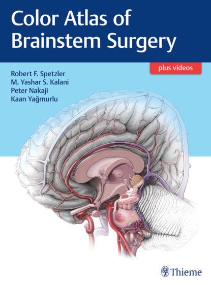 Группа авторов - Color Atlas of Brainstem Surgery