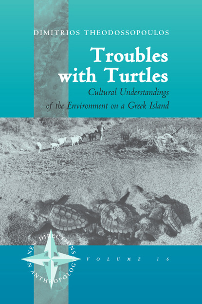 Dimitris Theodossopoulos - Troubles with Turtles