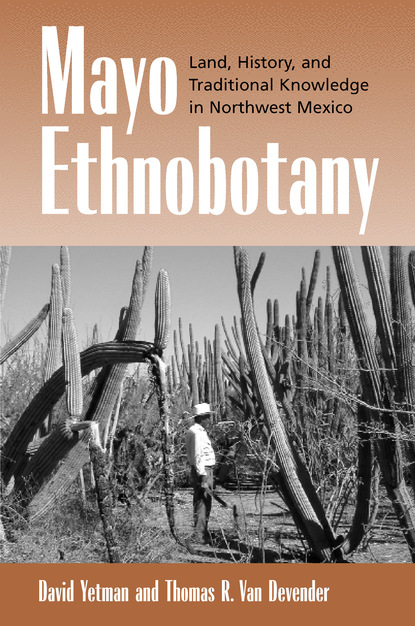 David Yetman - Mayo Ethnobotany