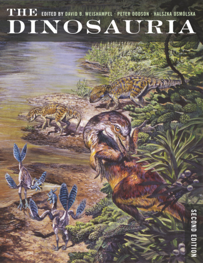 Группа авторов - The Dinosauria, Second Edition