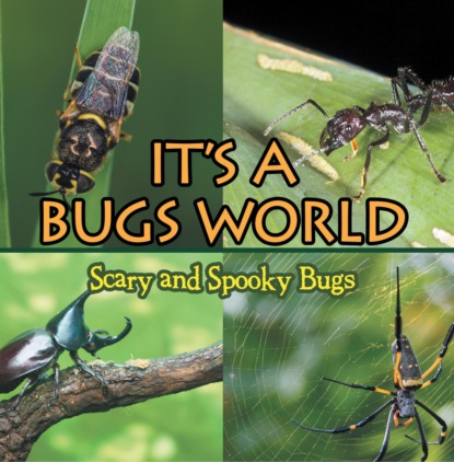 

Its A Bugs World: Scary and Spooky Bugs