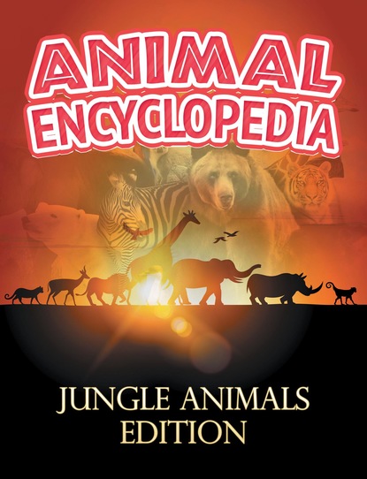 Baby Professor - ANIMAL ENCYCLOPEDIA: Jungle Animals Edition