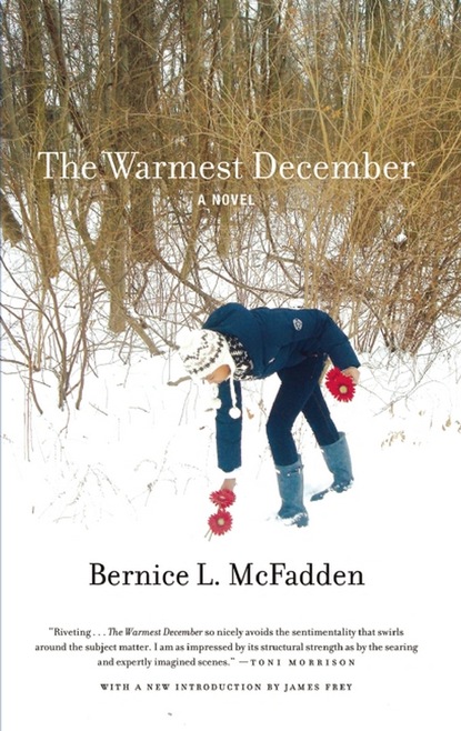 Bernice L. McFadden - The Warmest December