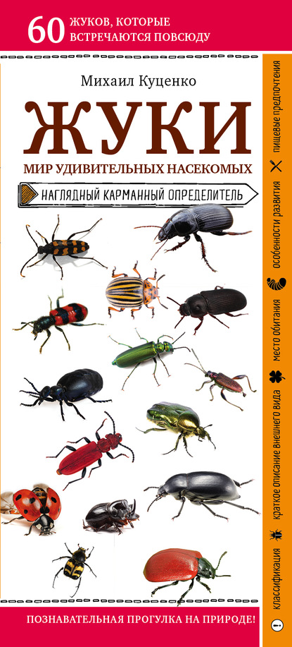 Михаил Куценко - Жуки. Мир удивительных насекомых