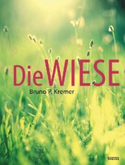 

Die Wiese