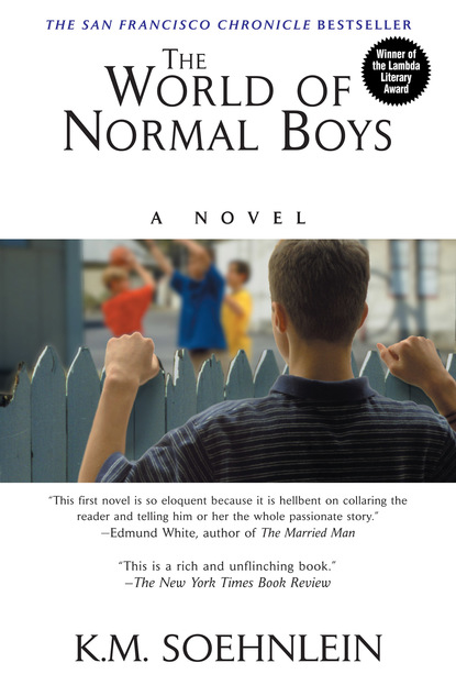 K.M. Soehnlein - The World of Normal Boys