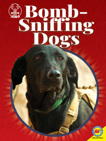 

Bomb-Sniffing Dogs