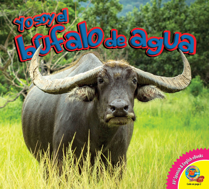 

El búfalo de agua
