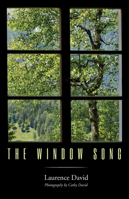 Laurence Nalick David — The Window Song