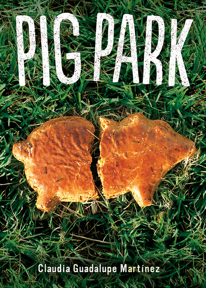 Claudia Guadalupe Martinez - Pig Park