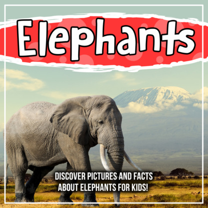 

Elephants: Discover Pictures and Facts About Elephants For Kids!