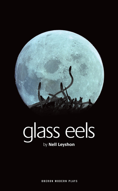 

Glass Eels
