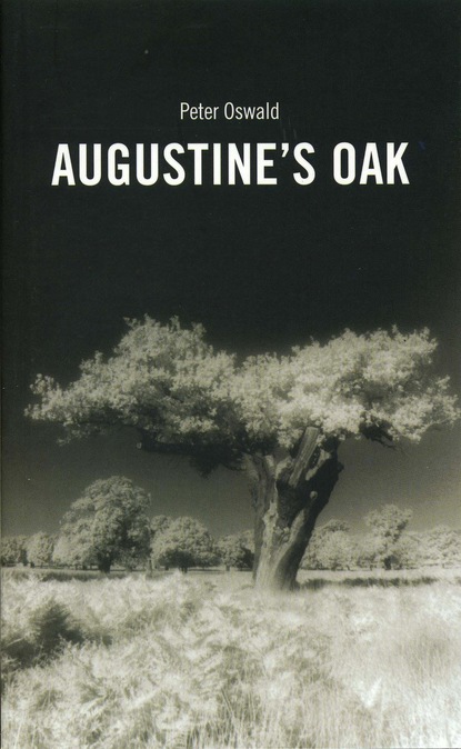 

Augustine's Oak