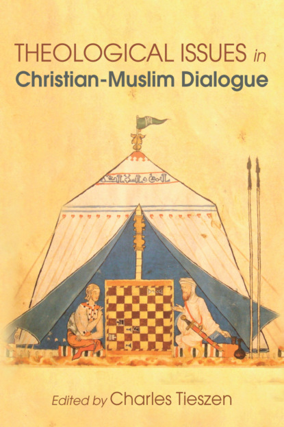 Группа авторов — Theological Issues in Christian-Muslim Dialogue