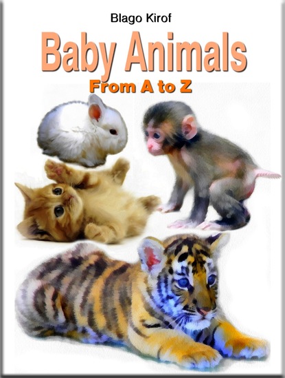 Blago Kirof - Baby Animals From A to Z