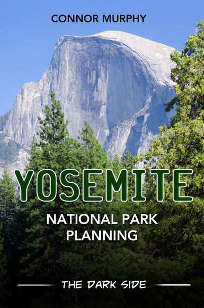 

Yosemite National Park Planning: The Dark Side