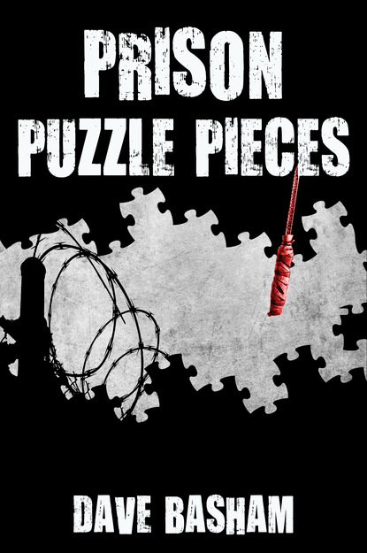 

Prison Puzzle Pieces