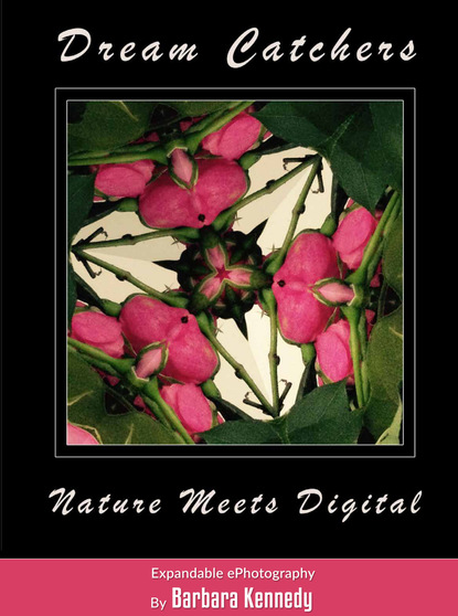 Barbara Kennedy - DREAM CATCHERS  -  Nature Meets Digital