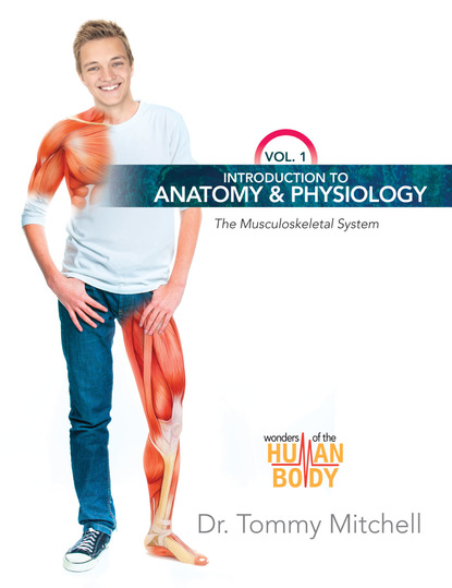 

Introduction to Anatomy & Physiology: The Musculoskeletal System Vol 1