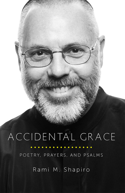 Rami M. Shapiro - Accidental Grace