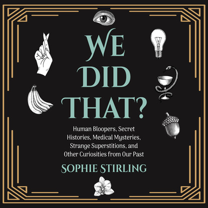 We Did That? (Unabridged) (Sophie Stirling). 