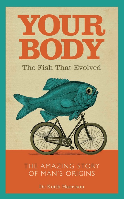 Dr. Keith Harrison - Your Body - The Fish That Evolved