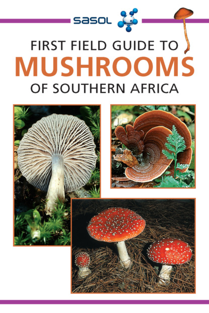 Margo Branch - First Field Guide to Mushrooms of Southern Africa