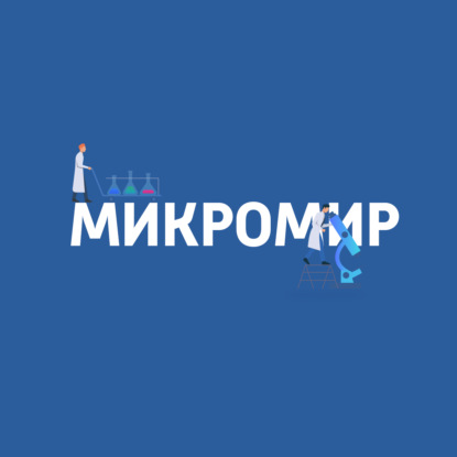 

Клетки мозга