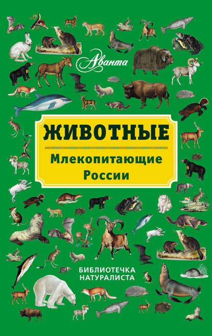 В. Г. Бабенко — Животные. Млекопитающие России