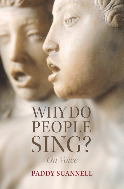 Обложка книги Why Do People Sing?, Paddy  Scannell