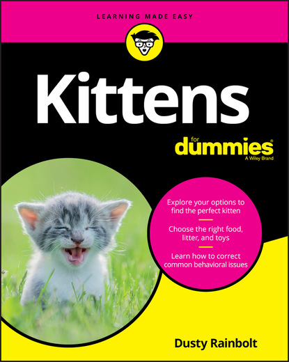 Dusty Rainbolt - Kittens For Dummies